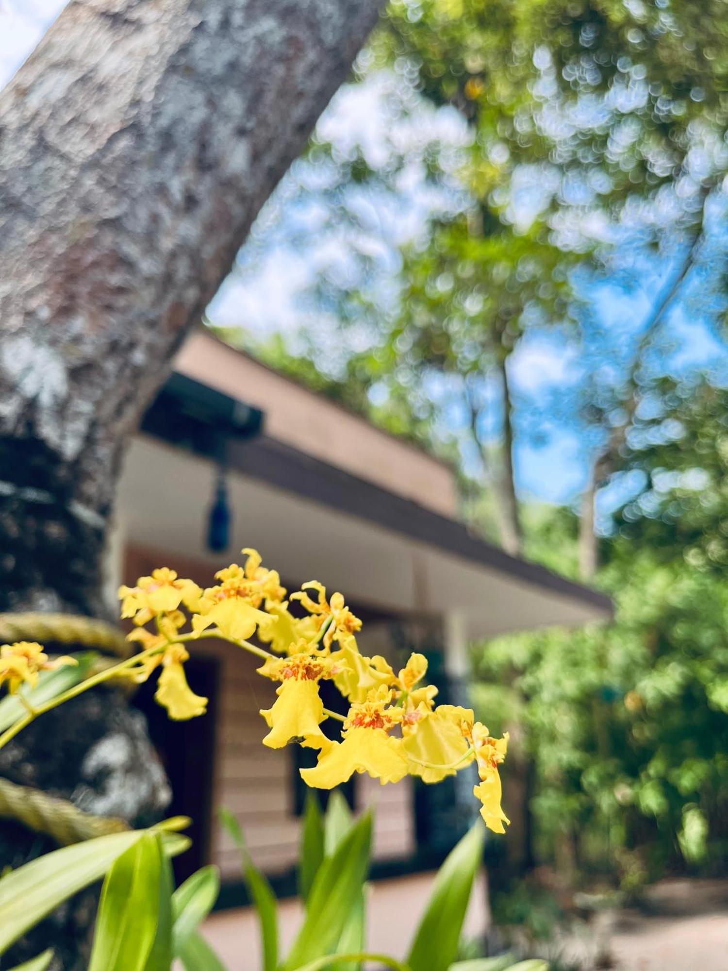 Marari Kallyani Beach Homestay Mararikulam Esterno foto